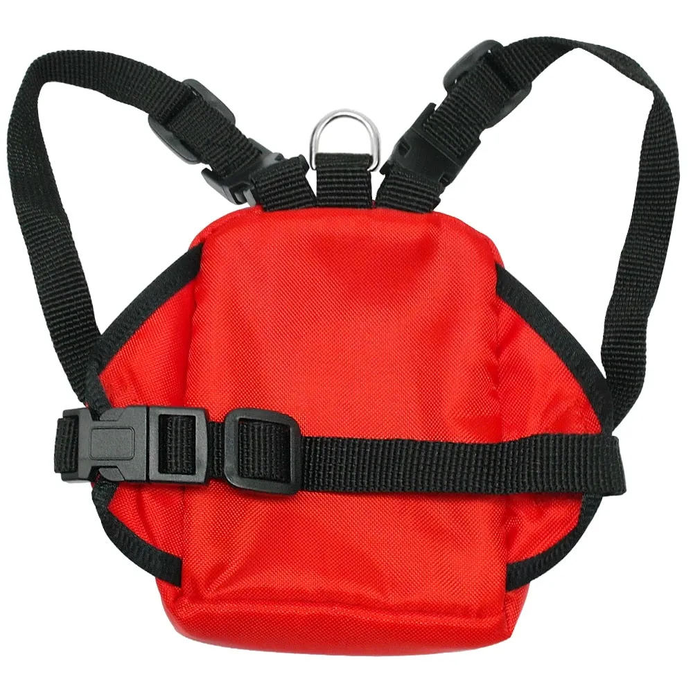 Comfortable Backpack For Your Precious Dogs And Cats