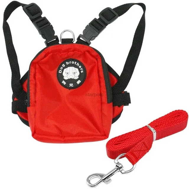 Comfortable Backpack For Your Precious Dogs And Cats