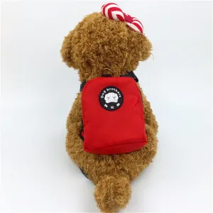 Comfortable Backpack For Your Precious Dogs And Cats