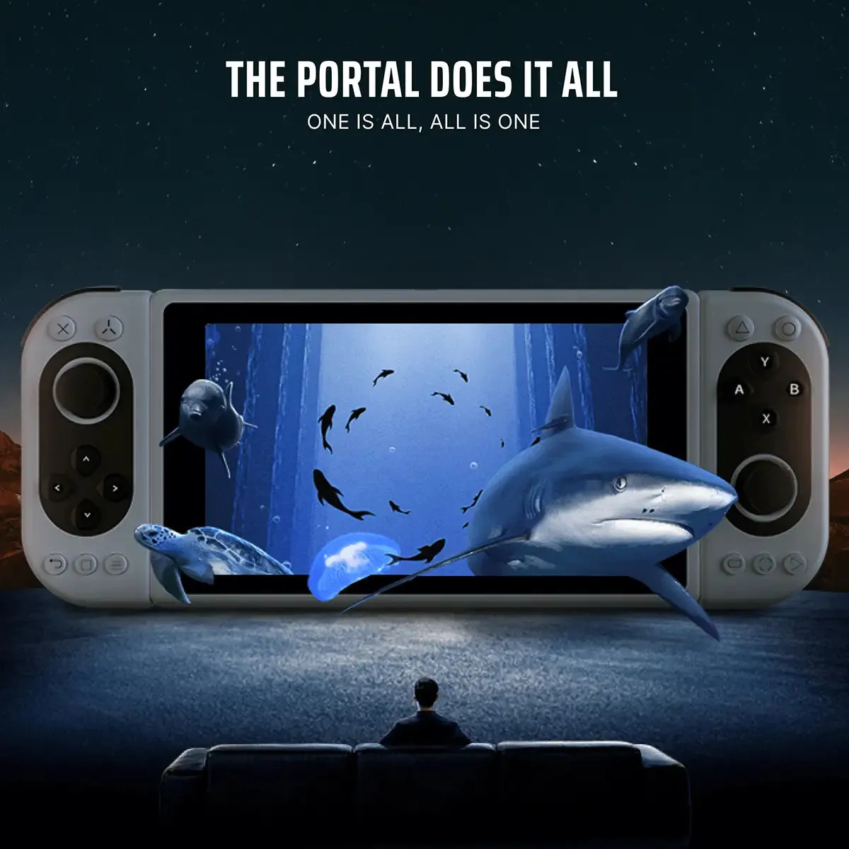 Pimax Portal