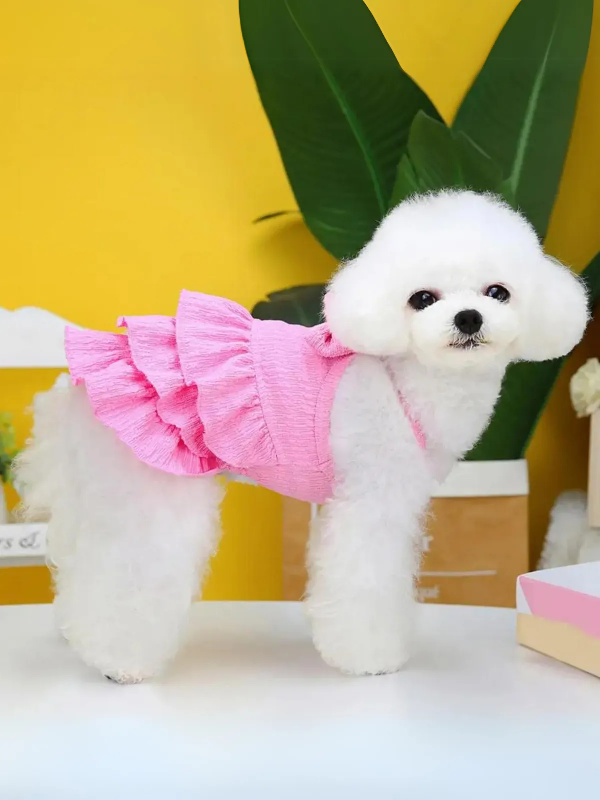 Summer Comfortable Breathable Layered Hem Bowknot Dog Dress