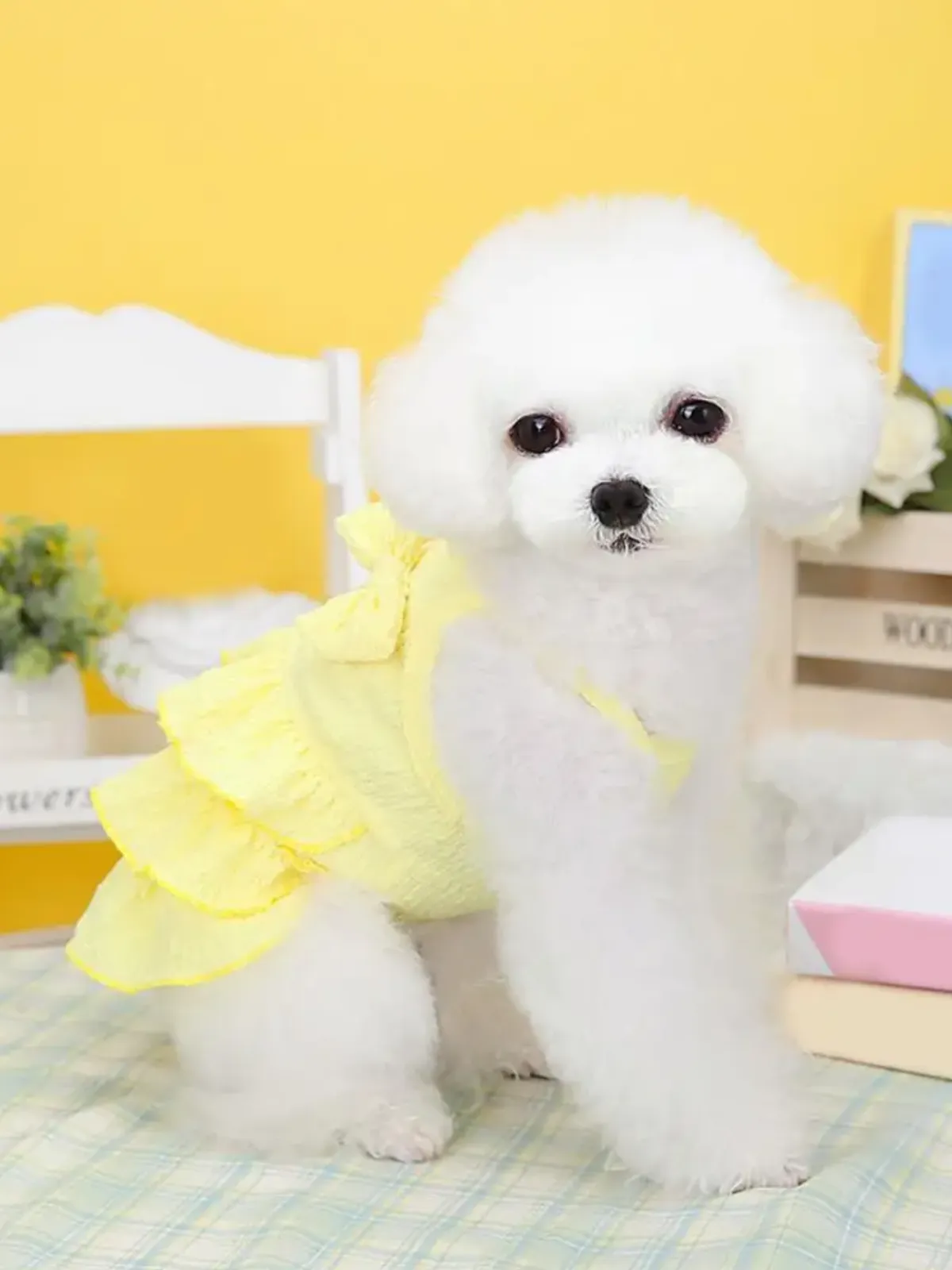 Summer Comfortable Breathable Layered Hem Bowknot Dog Dress